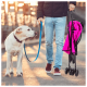 Eine Person, die einen Labradorhund an der Leine führt, während sie in der anderen Hand einen rosa Hundewagen hält, auf einem sonnigen Weg.