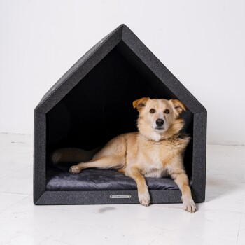 Ein gemütliches, modernes Hundehäuschen mit einem dreieckigen Dach, das ein weiches graues Kissen innen und einen entspannten Hund darauf zeigt.