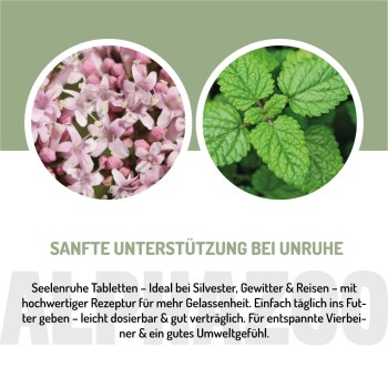 Eine Bewertung von Corinne B., die ein Produkt für Hunde lobt, mit einer Bewertung von 4,8/5 Sternen und 7.191 Bewertungen, im Hintergrund ein Hund und eine gemütliche Umgebung.