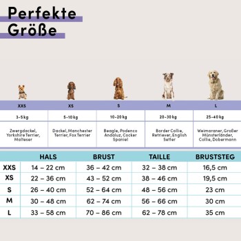 Geschirr Hund gepolstert lila XS