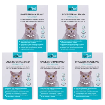 Antiparasitäre Halsband für Katzen, mit einer grauen Katze auf der Verpackung, mit Text in Deutsch, Französisch und Italienisch.