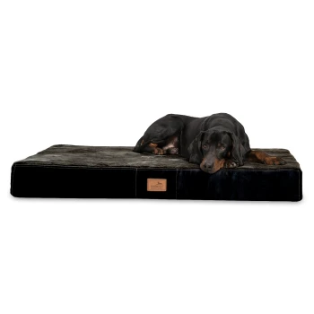 STUART ORTHO PLUS - Orthopädische Hundematte schwarz 80 cm, 13 cm, 60 cm Ein schwarzer und brauner Dobermann, der auf einem plüschigen Hundebett mit einer strukturierten grauen Oberseite und einer schwarzen Seite liegt, mit einem kleinen Logo-Patch.