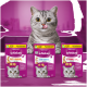 Grau getigerte Katze leckt sich die Lippen hinter drei violetten Whiskas-Beuteln mit den Aufschriften Anti-Hairball, Dentabites, Vitamin E-Xtra.
