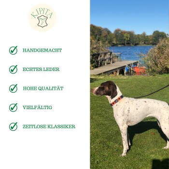 Ein gescheckter Hund auf Gras am See trägt ein buntes Halsband mit Text: "Handgemacht", "Echtes Leder", "Hohe Qualität", "Vielfältig", "Klassiker."