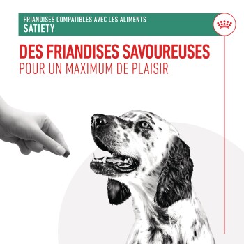 Une main donne une friandise à un chien tacheté heureux, avec un texte sur les friandises savoureuses et la compatibilité avec la nourriture.