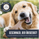 Ein verspielter Hund leckt sich die Lippen, während er auf einem Nylonknochen kaut. Der Text lautet: "Geschmack, der überzeugt! Infundiert mit echtem Rind - Hunde lieben es!"