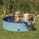 Un chien joueur saute d'une piscine pour animaux bleue, tenant un jouet jaune dans sa bouche, entouré d'herbe verte et de plantes.