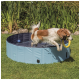 Ein verspielter Hund springt aus einem blauen Haustierpool, hält ein gelbes Spielzeug im Mund, umgeben von grünem Gras und Pflanzen.