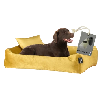 Ein glücklicher brauner Labrador-Retriever ruht auf einem plüschigen gelben Hundebett mit einem kleinen Kissen, das ein Etikett mit der Aufschrift "+ Kotbeutel Set" trägt.