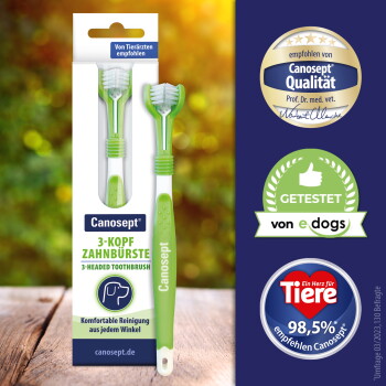 Grüne Canosept-Dreikopf-Hundezahnbürste mit Verpackung; sichtbare Texte "3-KOPF ZAHNBÜRSTE", "Canosept" und Qualitätskennzeichen