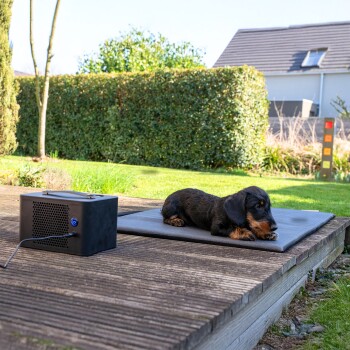 Ein Dackel liegt auf einer grauen Matte neben einem kleinen schwarzen Gerät mit einem blauen Netzschalter, in einem grünen Garten.