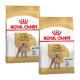 Deux sacs de nourriture pour chiens Royal Canin Adult Poodle, présentant un schéma de couleurs dorées et des images de caniches avec des détails nutritionnels spécifiques à la race.