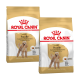 Zwei Beutel Royal Canin Adult Pudel Hundefutter, die ein goldenes Farbschema und Pudelbilder mit rassespezifischen Ernährungsdetails zeigen.