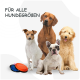 Vier Hunde verschiedener Rassen mit einem Textüberlagerung "FÜR ALLE HUNDEGRÖßEN" und bunten Frisbees im Vordergrund.