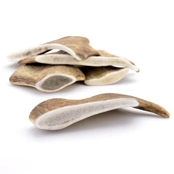 Geweih Schäufle M ca. 80-120g Ein Haufen natürlicher Hundekauartikel aus Geweih, der ihre einzigartigen Formen und Texturen vor einem weißen Hintergrund zeigt.