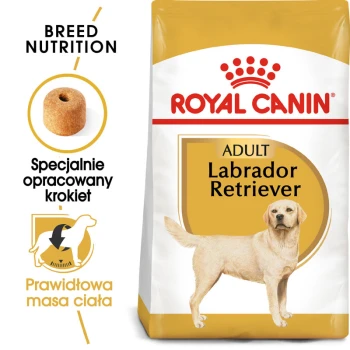 Torba z karmą dla psów Royal Canin Adult Labrador Retriever, z ilustracją krokietów, etykietą żywieniową dla rasy i tekstem w języku polskim.