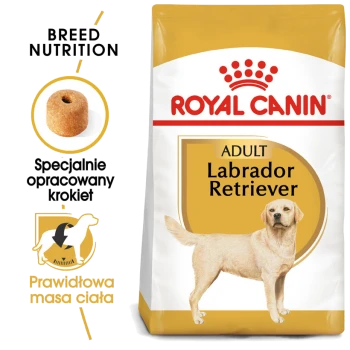 Torba z karmą dla psów Royal Canin Adult Labrador Retriever, z ilustracją krokietów, etykietą żywieniową dla rasy i tekstem w języku polskim.