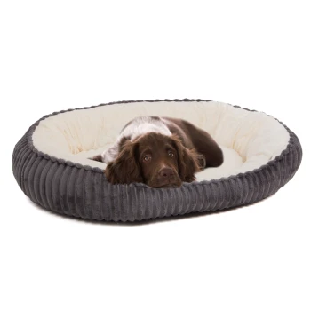 Ein brauner und weißer Hund liegt bequem in einem plüschigen, runden Hundebett mit einem grauen Cordstoff-Außenmaterial und einem weichen cremefarbenen Innenraum.