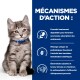 Chaton tigré gris avec collier bleu à côté d'un texte en français décrivant les bienfaits digestifs et nutritionnels de la nourriture pour animaux.