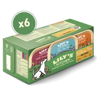 Lily's Kitchen 6-pack grain-free dog food trays with Wild Campfire, Fishy Fish Pie, and Sunday Lunch flavors.