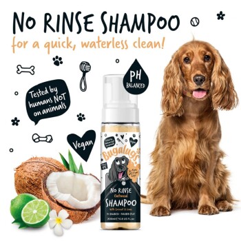 Ein goldener Cocker Spaniel sitzt neben Bugalu's No Rinse Haferflocken-Shampoo, das "No Rinse", "pH-Balanced", "Vegan" und "Nicht an Tieren getestet" hervorhebt.