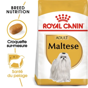 Sac de nourriture pour chien Royal Canin Adult Maltese présentant une illustration de chien Maltais, avec un texte mettant en avant la nutrition de la race et la santé du pelage.