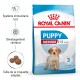 Sac de nourriture pour chiens Royal Canin Puppy Medium, présentant des avantages tels qu'un système immunitaire fort, le développement du cerveau et une taille de croquettes adaptée.