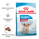Sac de nourriture pour chiens Royal Canin Puppy Medium, présentant des avantages tels qu'un système immunitaire fort, le développement du cerveau et une taille de croquettes adaptée.
