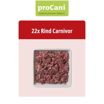 Die Verpackung des proCani Beef Carnivore Haustierfutters mit einem roten Etikett, das "Rind Carnivor" und "Beef Carnivore" anzeigt, hebt natürliche Zutaten hervor.