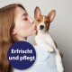 Eine Person mit langen Haaren hält einen kleinen, braun-weißen Welpen auf ihrer Schulter. Eine kreisförmige Sprechblase liest: "Erfrischt und pflegt."