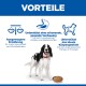 Schwarz-weißer Hund neben einem Napf mit Trockenfutter unter der blauen Überschrift 'VORTEILE' mit Symbolen und Text: Ernährung, Verdauung, ideales Gewicht