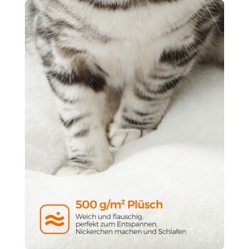 Nahaufnahme der Pfoten einer gestreiften Katze auf plüschigem Stoff, mit Text über ihre Weichheit und den Komfort für Entspannung und Schlaf.
