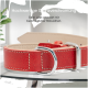 Roter Lederhundehalsband mit silberner Schnalle, mit dem Markennamen "Freudentier" und Text über umweltfreundliche Produktion.
