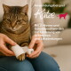 Getigerte Katze mit verbandener Pfote, gehalten von einer Person, deutscher Text über Arthritis und Gelenkschmerzen bei Katzen.