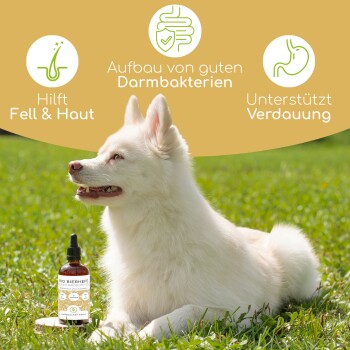 Lachsölprodukte in verschiedenen Behältern, beschriftet mit '100% natürlich mit Omega 3', geeignet für Hunde aller Rassen und Altersgruppen.
