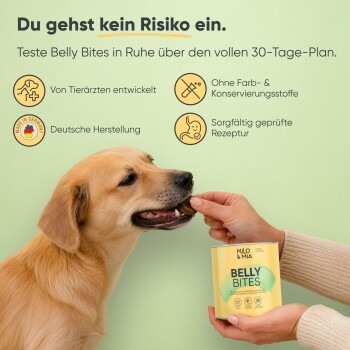 Tägliche Fütterungsempfehlungen für Hunde nach Größe: klein, mittel, groß und sehr groß, mit Bildern und "Milo & Mia" Branding.