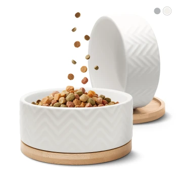 Eine weiße Keramik-Hundefutter-Schüssel mit Chevron-Muster, gefüllt mit buntem Futter, mit Futterstücken, die aus einer benachbarten Schüssel fallen.