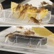 Cricket Box S