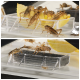 Eine Nahaufnahme von mehreren Grillen, die auf einer Zitronenscheibe in einem transparenten Futterbehälter fressen, mit einem anderen Behälter, der eine schwarze Substanz enthält, in der Nähe.