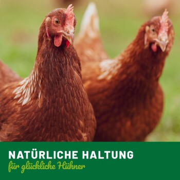 Zwei braune Hühner stehen in einem grasbewachsenen Bereich, mit dem Text "NATÜRLICHE HALTUNG für glückliche Hühner" am unteren Rand.