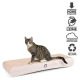 Eine getigerte Katze sitzt auf einem gebogenen Kartonkratzbrett, das umweltfreundliche Materialien und Stabilität hervorhebt.