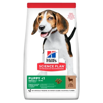 Hill's prescription diet buy online ireland sales