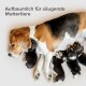 Beagle-Mutter, die vier niedliche Welpen säugt, mit dem Text "Aufbaumilch für säugende Muttertiere" darüber.