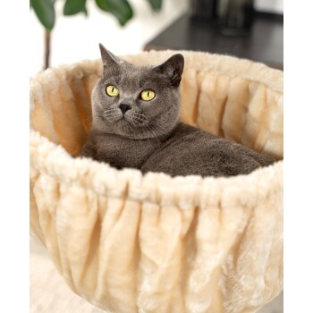 Eine graue Katze mit leuchtend gelben Augen, die in einem weichen, beigen Haustierbett mit plüschigem, flauschigem Innenleben liegt.