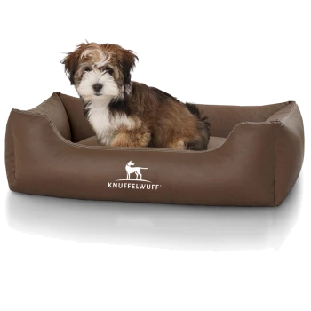 Flauschiger braun-weißer Welpe sitzt in einem braunen Hundebett mit der Aufschrift 'KNUFFELWUFF' und weißem Hundelogo.
