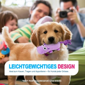 Golden-Retriever-Welpe mit lila Spielzeug; Text 'LEICHTGEWICHTIGES DESIGN' und 'NICHT FÜR AGGRESSIVE KAUER'