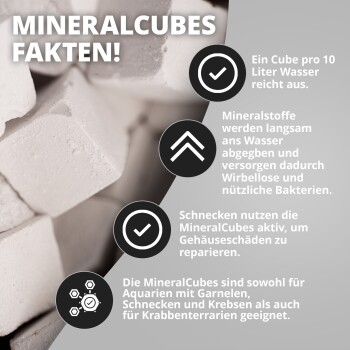 Stapel weißer MineralCubes Aquarienminerale mit deutscher Überschrift 'MINERALCUBES FAKTEN!' und Anwendungshinweisen.