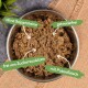 Lecker.Pet Luna's Feine Paté Reich an Pute Hundefutter Nassfutter Vollnahrung 11x150 g