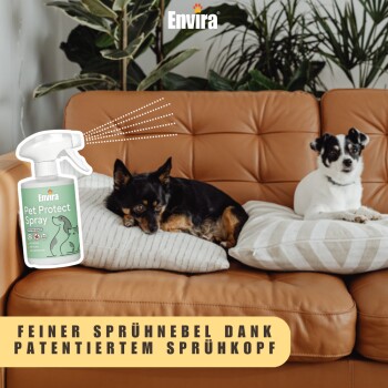 Ein schwarz-brauner Hund ruht auf einem weißen Kissen auf einer braunen Couch neben einem weißen Hund. Eine Flasche "Envira Pet Protect Spray" ist sichtbar.