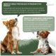 Zwei braun-weiße Hunde mit deutschen Sprechblasen über Proteinquelle und Transparenz bei Trockenfutter.